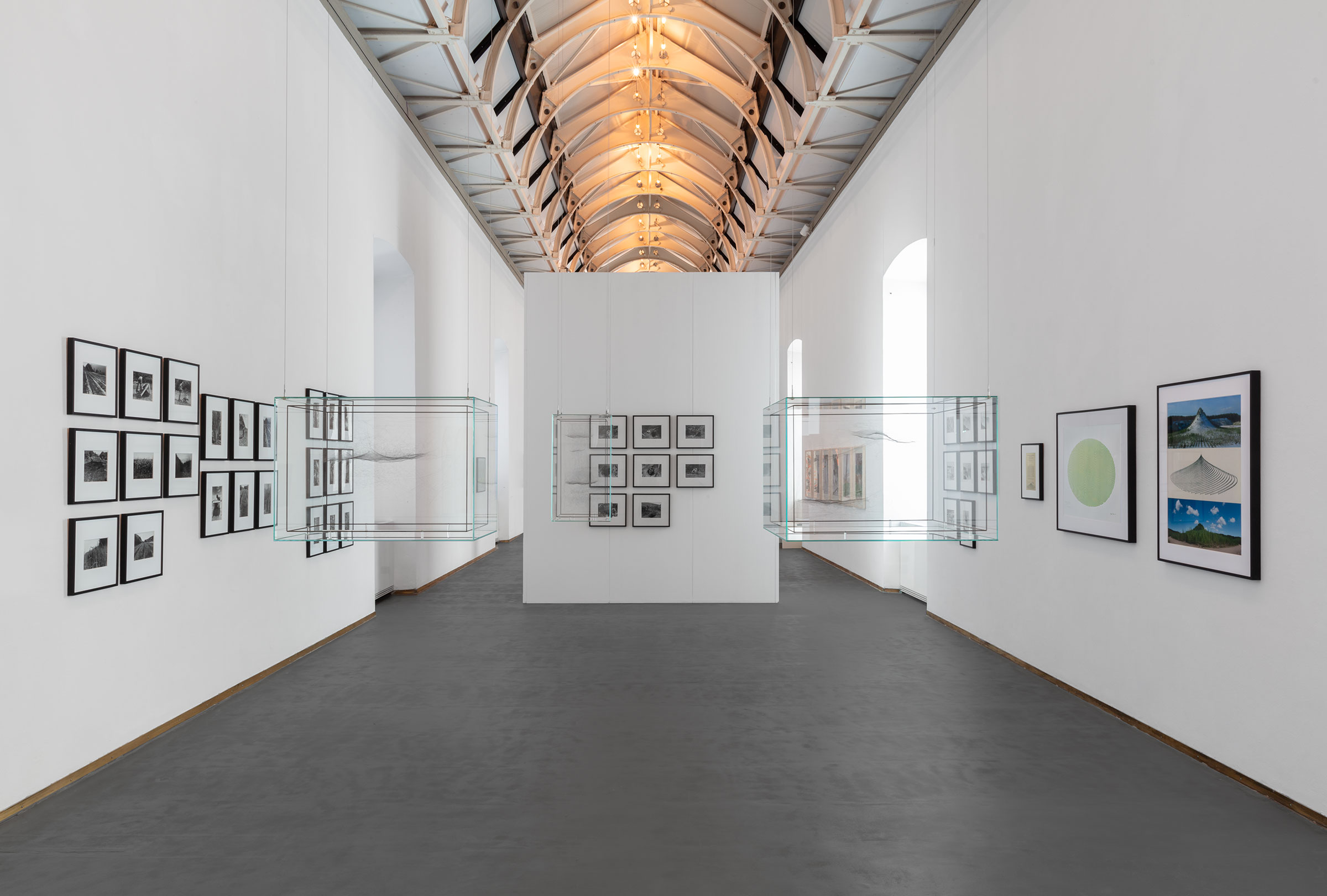 u0022Mutual Aid. Arte in collaborazione con la natura / Art in Collaboration with Natureu0022, installation view